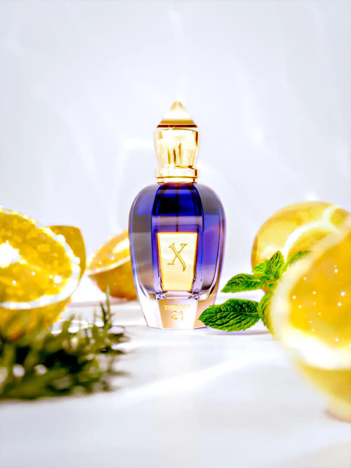 Nước Hoa Xerjoff Torino 21 Chính Hãng 3 xerjoff torino 21 1