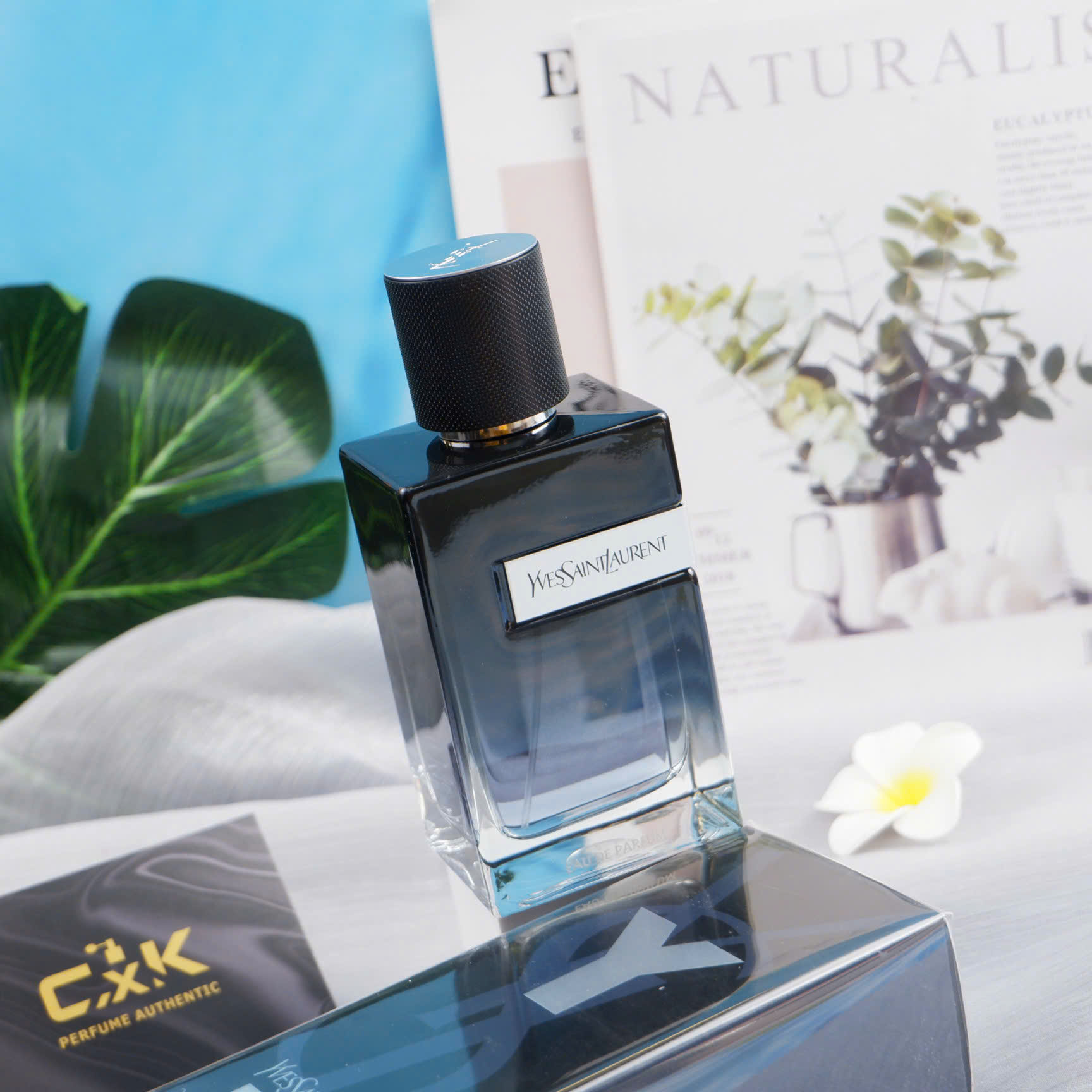 Nước Hoa Yves Saint Laurent YSL Y Eau de Parfum Chính Hãng 7 Nước Hoa Yves Saint Laurent YSL Y Eau de Parfum Chính Hãng - Ảnh 5