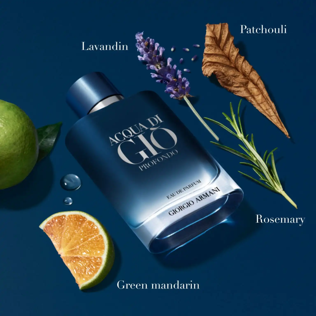giorgio armani acqua di gio prof 2