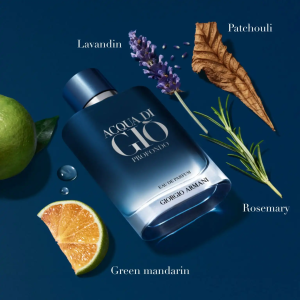 giorgio armani acqua di gio prof 2