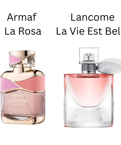 3 10e1410b e2a1 4801 9ef8 384da6